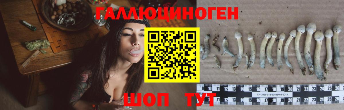 Псилоцибиновые грибы прущие грибы  Вход с VPN  как найти закладки  Кировск 